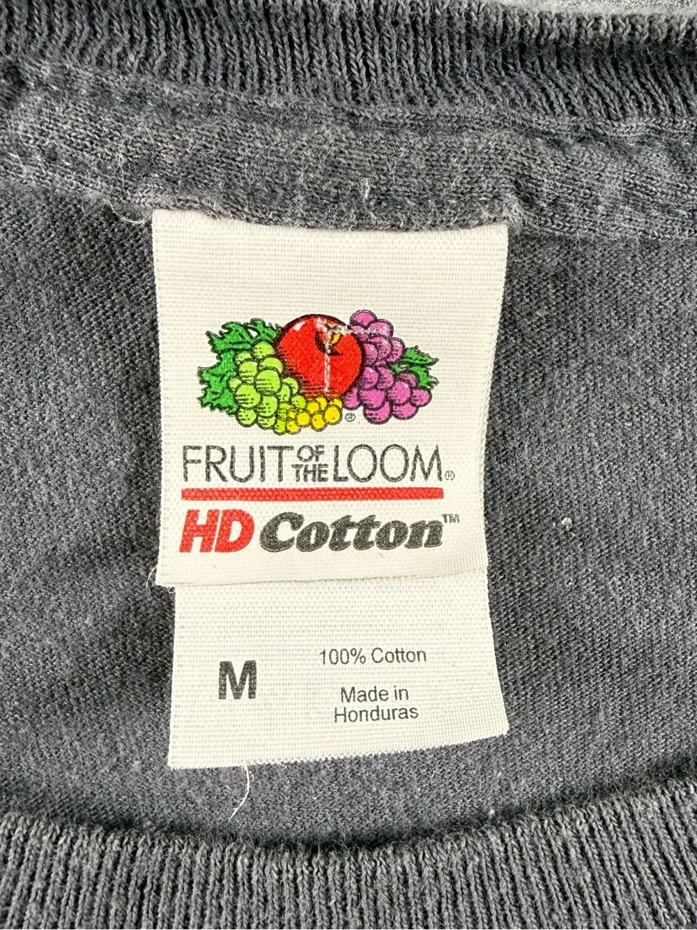 Fruit of The Loom Look Im A Hooman Dur Dur Dur Cat Graphic Gray Women’s Size M